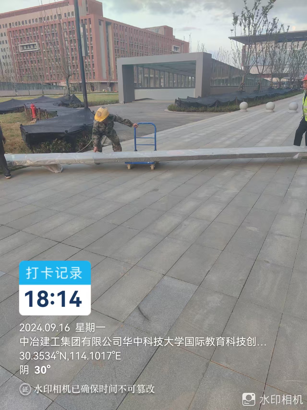 案例展示